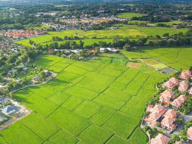 Aerial view of vibrant green fields divided into rectangular plots surrounding a residential area with red-roof houses. Aerial view of farmland bordered by roads and clusters of homes in a rural community. Green agricultural fields stretch across the landscape, with a row of red-roof houses along the right edge. Bird's-eye view of cultivated fields and scattered trees with housing on the outskirts.